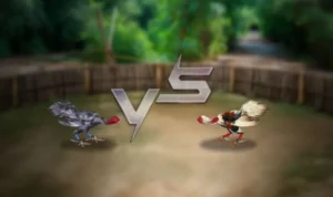 Đá Gà 3D Tại Sclub88