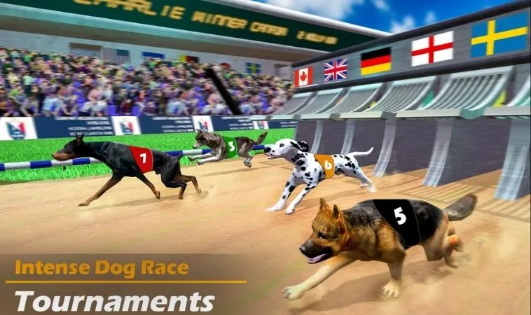 Bí Kíp Cách Chơi Game Nhanh Đua Chó Tại Sclub88 Giúp Bạn Về Đích An Toàn 2 Cách chơi game nhanh Đua Chó Tại Sclub88