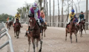 Đua Ngựa Sclub88