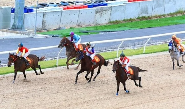 Cần tìm hiểu kỹ về bộ môn đua ngựa Sclub88 trước khi cá cược